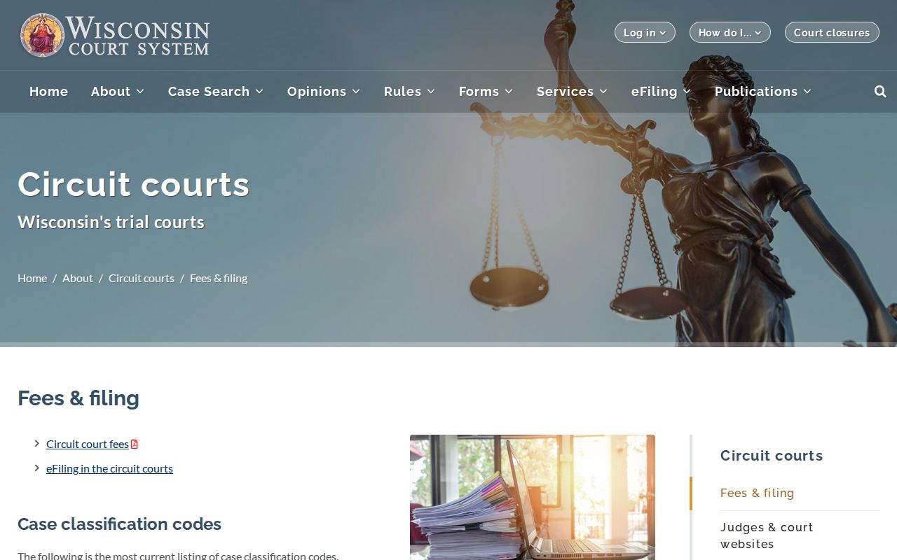 Wisconsin court classifications used for Iowa County civil filings